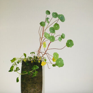 vase_1