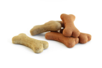 Dog Bakery Bones