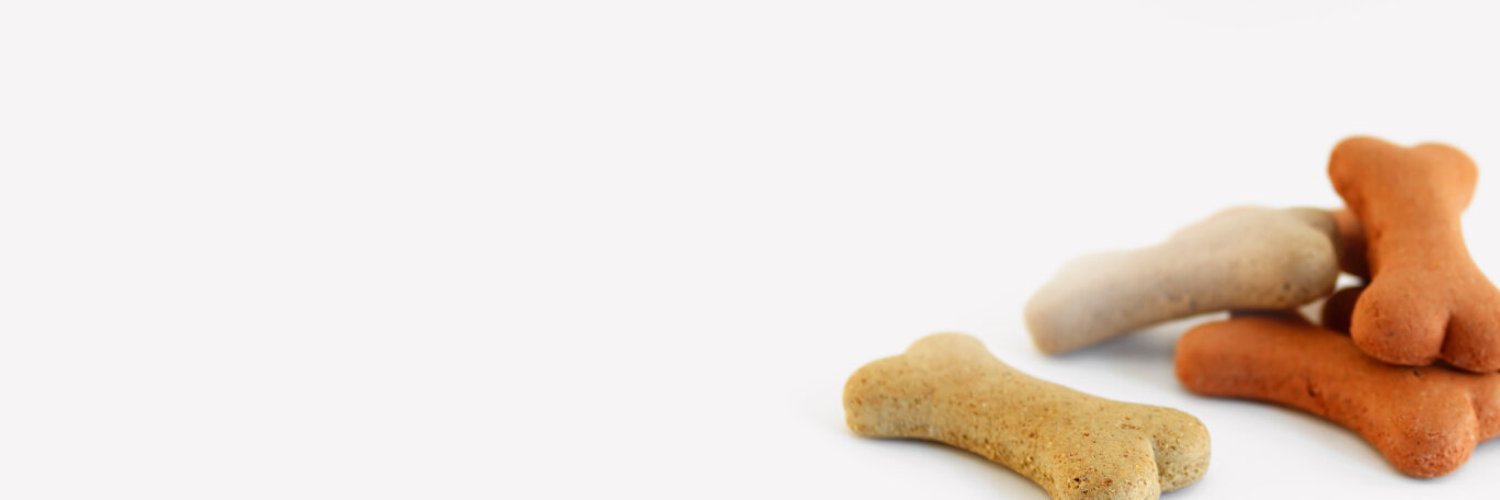 231031 Segment Header Tiernahrung