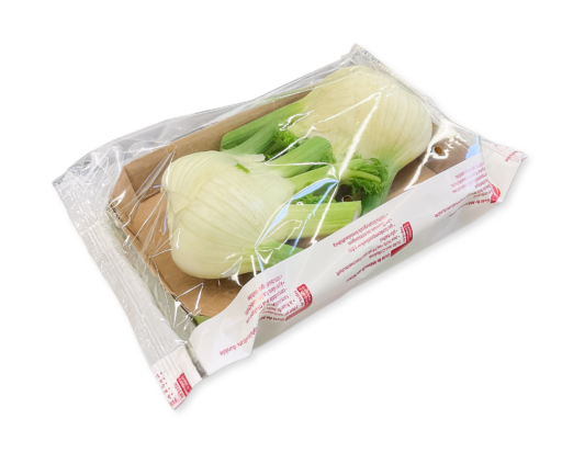 IMG_0143 Fenchel Transparent